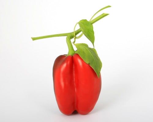 Bell Pepper